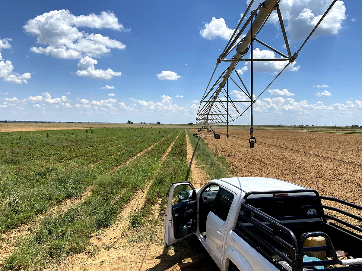 a vast agricultural field under a clear blue sky with scattered clouds. In the foreground, there is a white pickup truck with its door open, parked beside the field. The truck is positioned near a large irrigation system that extends across the field, with green crops growing on one side and freshly tilled soil on the other. The scene captures the essence of rural farming and modern irrigation technology.